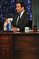 clarke-fallon