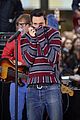 levine-maroon