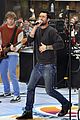 levine-maroon
