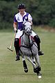 harry-polo
