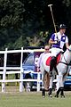 harry-polo