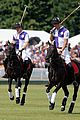 harry-polo