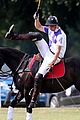 harry-polo