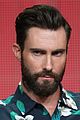 levine-tca