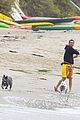 mcconaughey-dogs