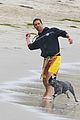 mcconaughey-dogs