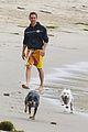 mcconaughey-dogs