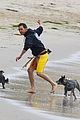 mcconaughey-dogs