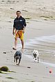 mcconaughey-dogs
