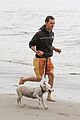 mcconaughey-dogs