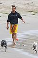 mcconaughey-dogs