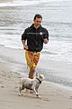 mcconaughey-dogs