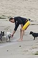 mcconaughey-dogs