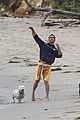 mcconaughey-dogs