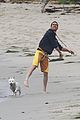 mcconaughey-dogs