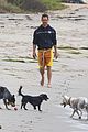 mcconaughey-dogs