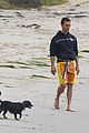 mcconaughey-dogs