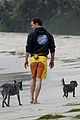 mcconaughey-dogs