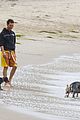 mcconaughey-dogs