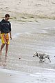 mcconaughey-dogs