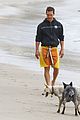 mcconaughey-dogs