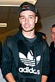 1d-lands2