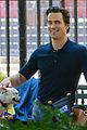 bomer-puppy
