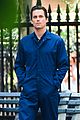 bomer-puppy