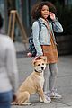 jamie-dog