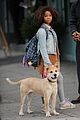 jamie-dog