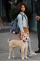 jamie-dog