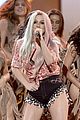 kesha-pitbull
