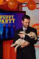 levine-puppy
