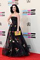 perry-amas2
