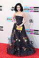 perry-amas2