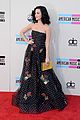 perry-amas2