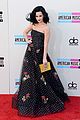 perry-amas2