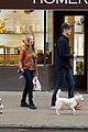 seyfried-dog