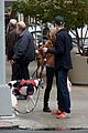 seyfried-dog