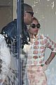beyonce-cow