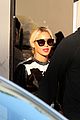 beyonce-cow