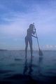 beyonce-gratitude