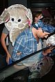 styles-elephant1