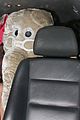 styles-elephant1