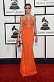 roe-grammys