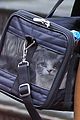 swift-carrier