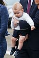 george-puppies3