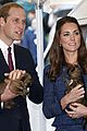 george-puppies3