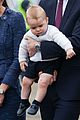 george-puppies3