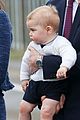 george-puppies3
